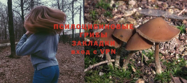 стаф Алзамай