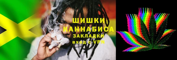 стаф Алзамай