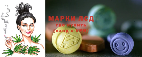мет Алексин