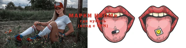 стаф Алзамай