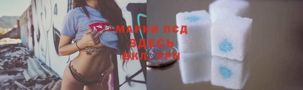 стаф Алзамай