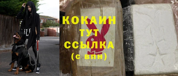 дживик Чегем