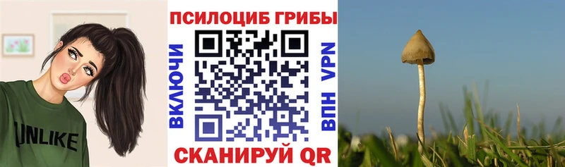 закладка Щёлково Псилоцибиновые грибы ЛСД